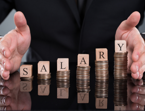 S Corporation Owners – How Much Salary is the Right Amount?